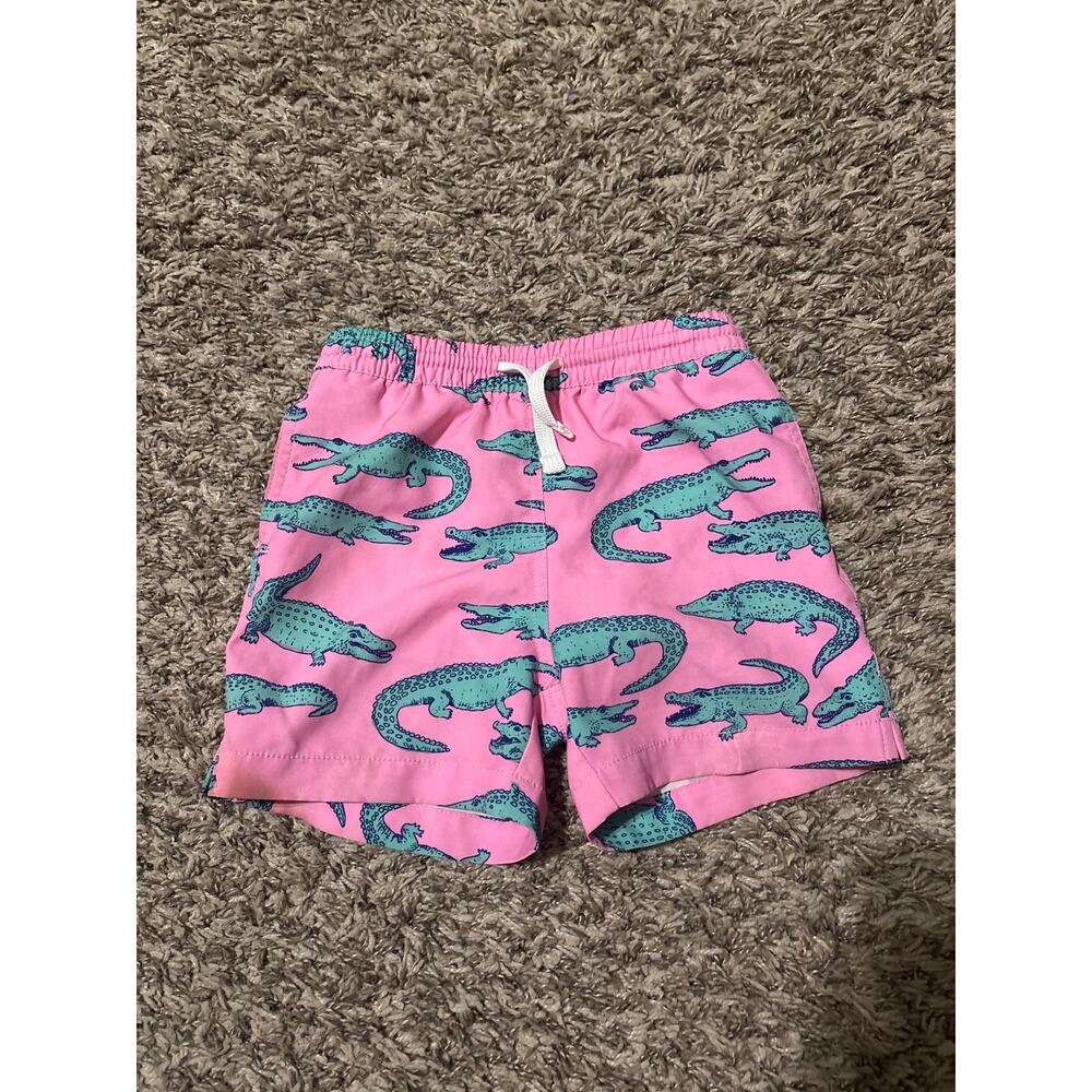 Chubbies Swim Trunks 5